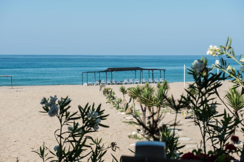 As Queen Beach Hotel Kızılot Exteriér fotografie